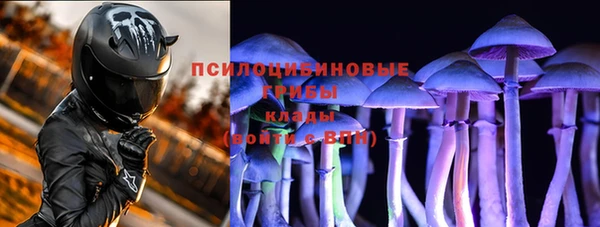 кокс Дмитриев