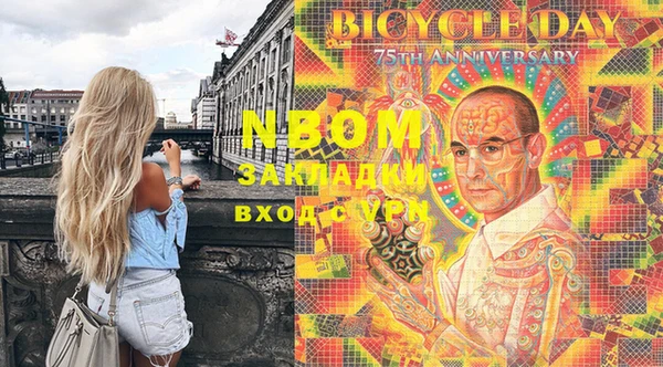 хмурый Дмитров