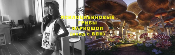 бошки Саяногорск