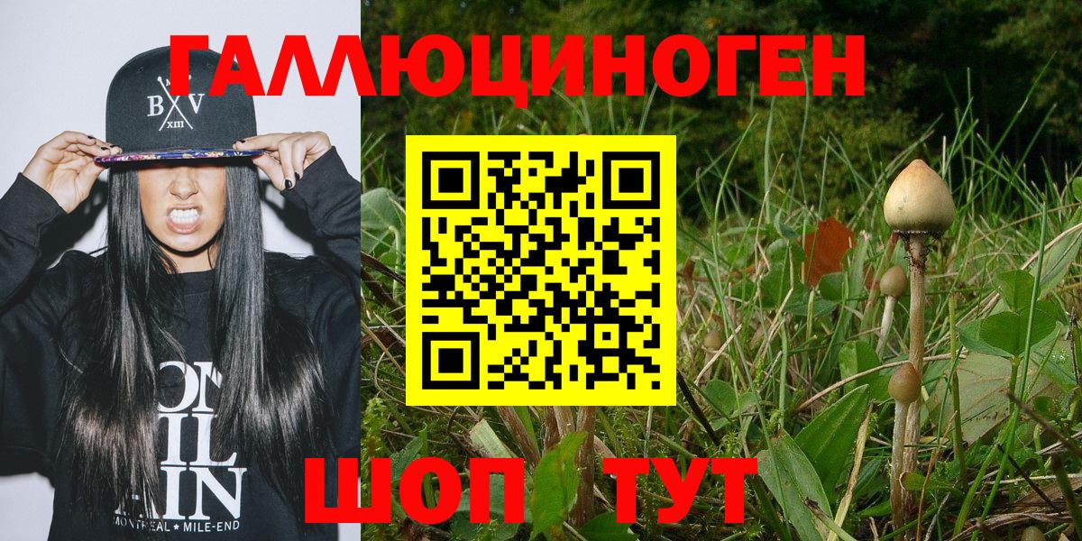 Реж  Псилоцибиновые грибы Cubensis  Вход с VPN 