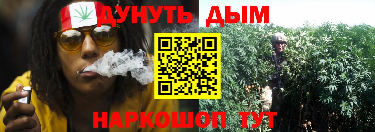 Реж  Бошки Шишки MAZAR  Бошки Шишки сатива  Каннабис THC 21%  Вход с VPN 